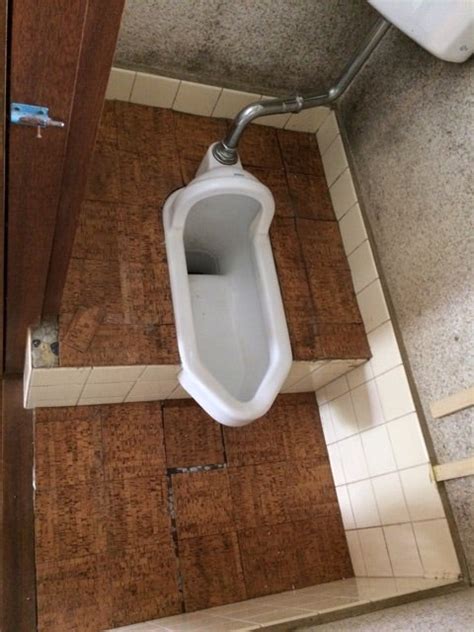 和式トイレは生かしちゃおけない！ 成功の要諦は成功するまで続けるところにある！なのでいつまで経っても続けている（