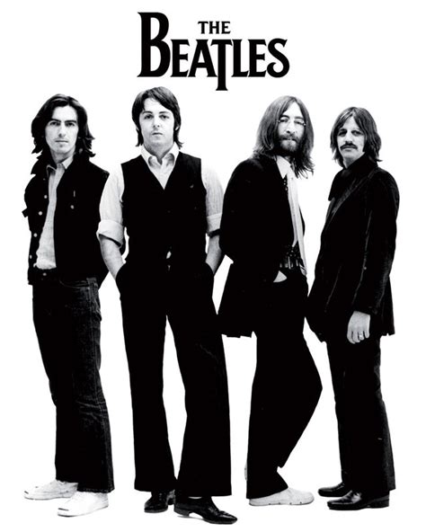 beatles white poster sold  ukposters