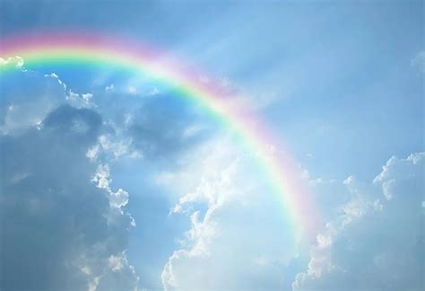 fascinating rainbow facts  activities  kids