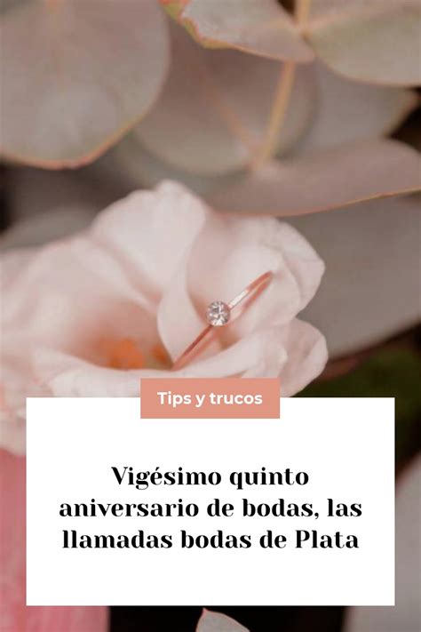 Bodas De Plata ¿cómo Celebrar Las Bodas De Plata Publiboda