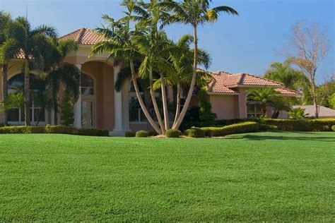 Grass Types In Florida 7 Top Picks For Your Florida Lawn