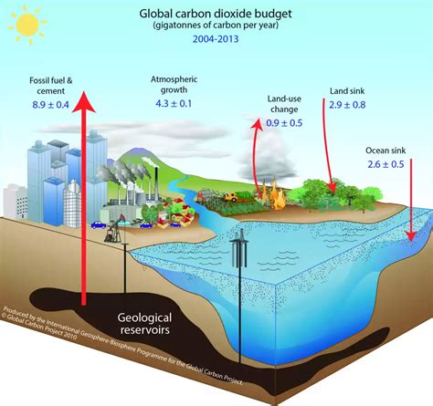 Fossil Fuels Carbon Cycle Sale Online Emergencydentistry