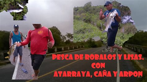 PESCA DE ROBALOS Y LISAS CON ATARRAYA CAÑA Y ARPON YouTube