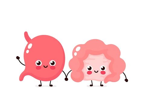 Premium Vector Strong Cute Healthy Happy Intestine Gut And Stomach