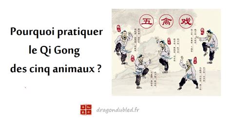 Pourquoi Pratiquer Le Qi Gong Des Cinq Animaux Dragon Du Bled