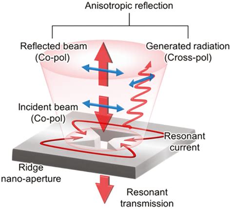 Schematic Of The Anisotropic Reflection From A Ridge Nano Aperture The