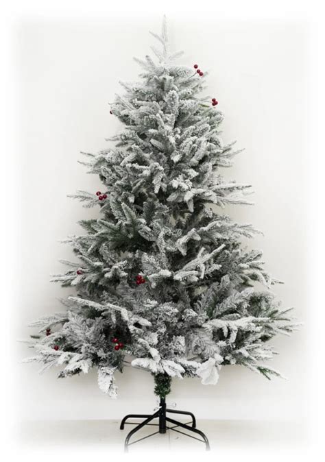 Исрадон :: Ель “Снежная красавица” 150см