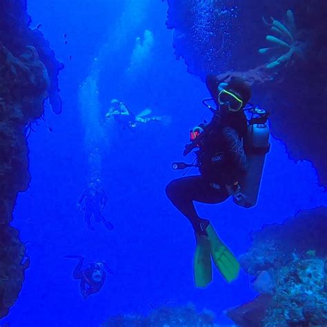 Introducir Imagen Deep Blue Scuba Diving Cozumel Abzlocal Mx