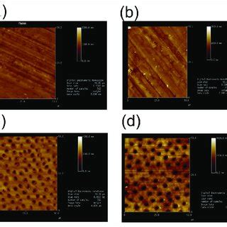 Three Dimensional Afm Micrographs Of Human Dentin Across A M X