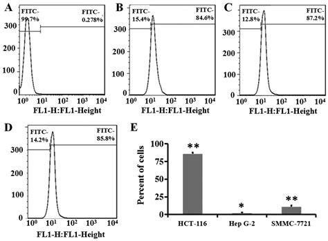 In Vitro And In Vivo Activities Of An Antitumor Peptide Hm 3 A Special