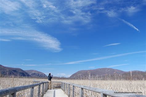 Constitution Marsh & Indian Brook Falls | Hike the Hudson Valley