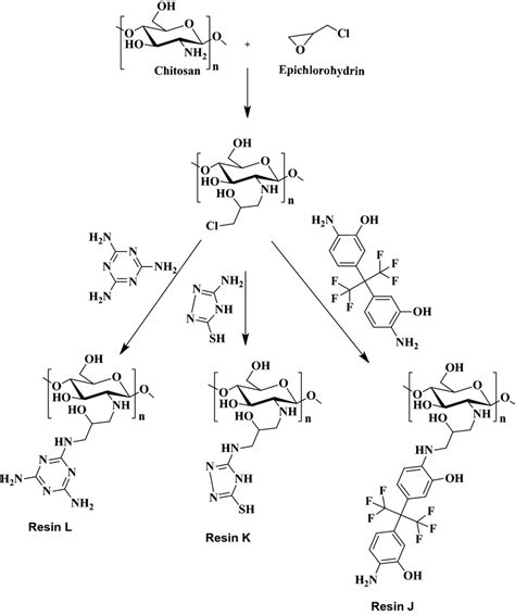 Schematic Reaction Between Gla And Chitosan Download Scientific Diagram