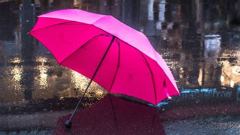 Rain Umbrella Stock Photos, Images and Backgrounds for Free Download