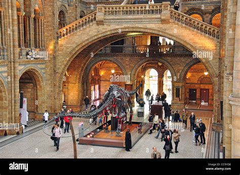 Dinosaur Skeleton In Central Hall At Natural History Museum Cromwell Road Kensington Greater