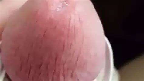 Chicken Cum Gay Porn XHamster