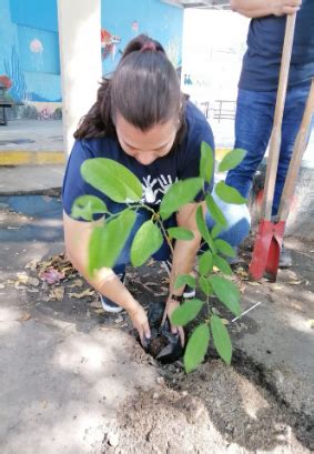 FUNDAHRSE Tranycop se une por la reforestación