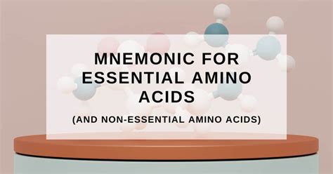 Mnemonic For Essential Amino Acids Protein Answers