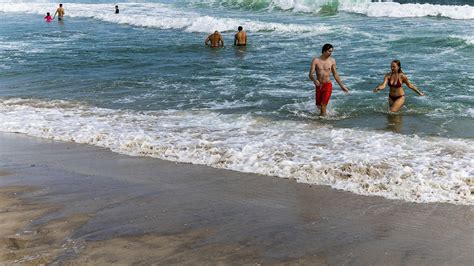 Shark Sightings Get More Common At New York Beaches Nbc New York