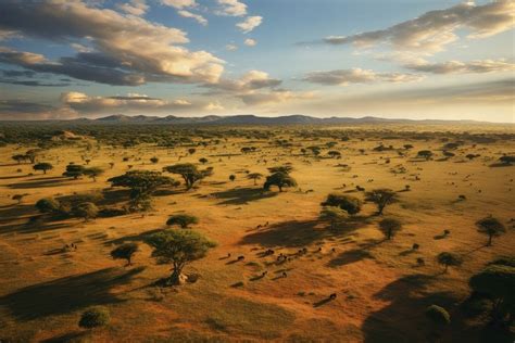 Savanna landscape grassland outdoors. AI | Free Photo - rawpixel