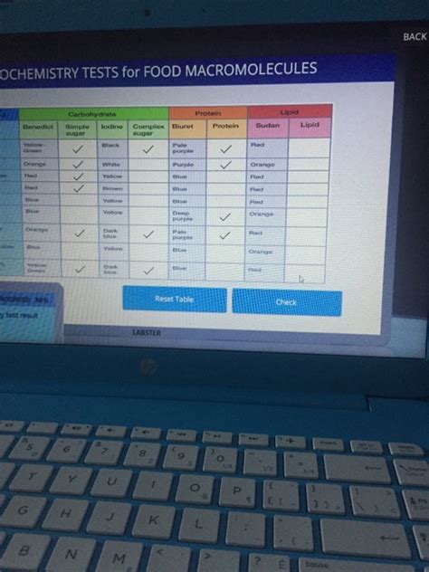 Back Ochemistry Tests For Food Macromolecules Chegg