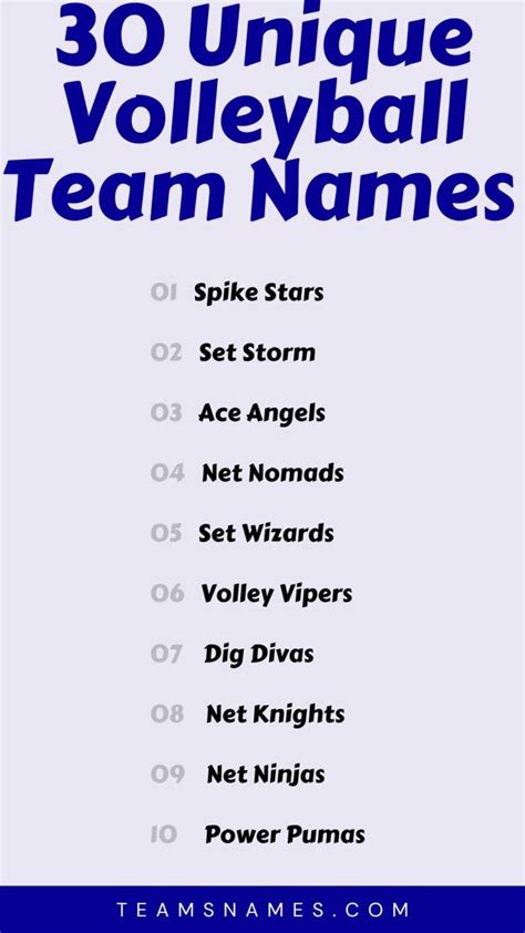 600 Volleyball Team Names To Make Your Team Stand Out