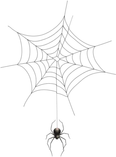 Free Spiderweb Transparent, Download Free Spiderweb Transparent png ...