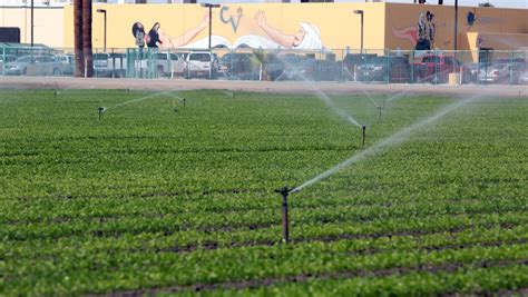 Valley activists: Buffer zones for pesticides needed