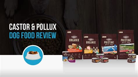 Castor And Pollux Dog Food Review - Best Organic Food? 2021