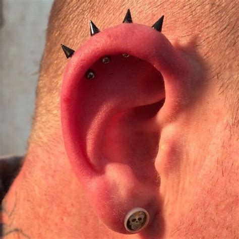 Pin By Audi On Pierce Me In Earings Piercings Cool Ear