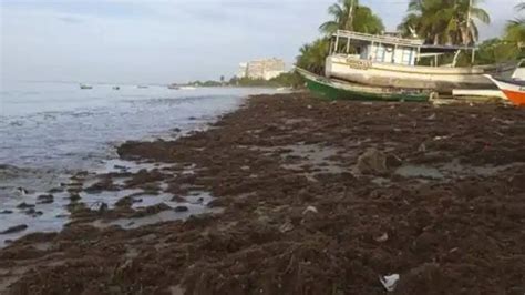 Fuertes Vientos Y Lluvias Causan Da Os En Margarita Notifalcon