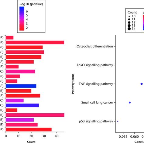 A B Function And Pathway Enrichment Analysis For Differentially