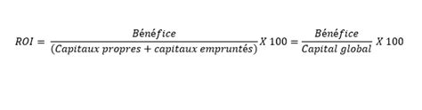 Ntroduire 62 imagen rentabilité des capitaux propres formule fr