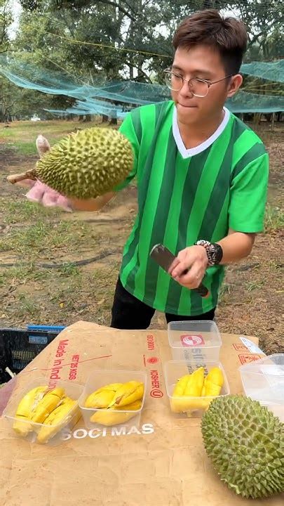 Amazing Durian Unboxing Skills Master Youtube