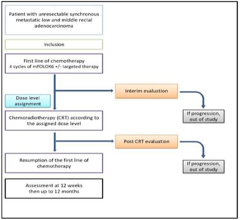 A Phase I Dose Escalation Trial Using Intensity Modulated Radiotherapy