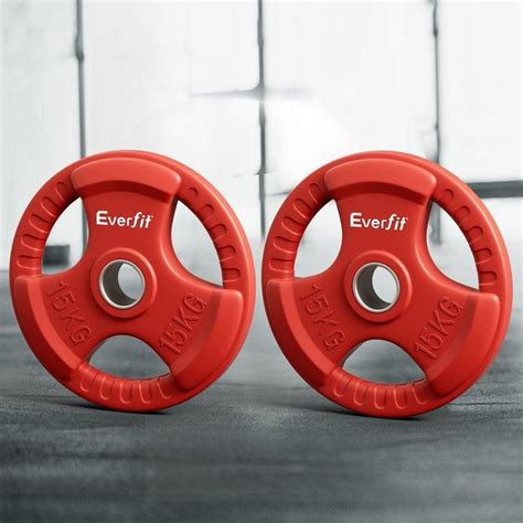 15kgx2 Everfit Weight Plates Standard Dumbbell Barbell Plate Weight