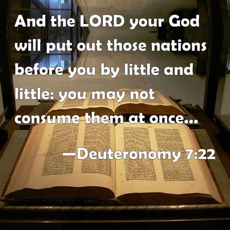 Deuteronomy And The Lord Your God Will Put Out Those Nations