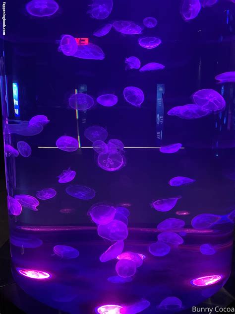 Bunnycocoa Nude Onlyfans Leaks Fappening Fappeningbook