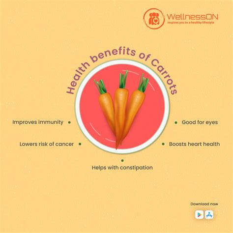 Discover the Health Benefits of Carrots