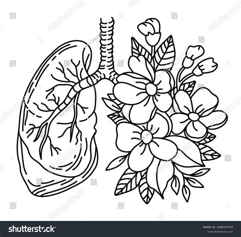 Floral Lungs Human Lung Vector Illustration Stock Vector Royalty Free 2288184259 Shutterstock