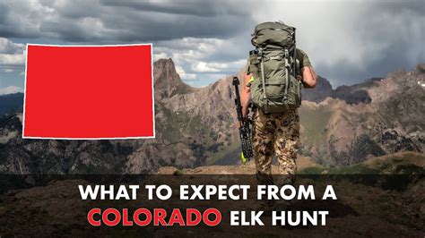 Colorado Elk Draw Kelleighabdur