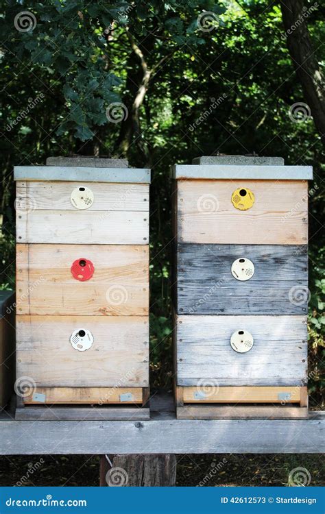 Beehives Stock Image Image Of Beekeeping Rural Farming 42612573