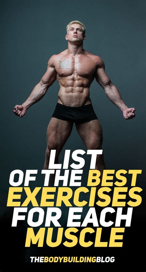 What Are The Best Exercises For Each Muscle Group Thebodybuildingblog