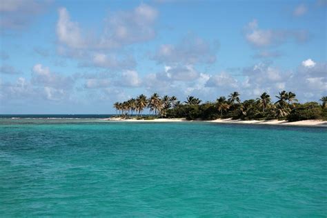 The Tobago Cays: Guardians of Biodiversity | LAC Geo