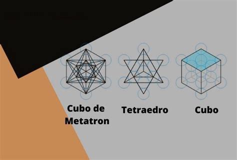 Geometr A Sagrada Flor De La Vida S Lidos Plat Nicos Y El Cubo De