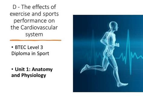 Unit 1 Anatomy And Physiology Effects Of Exercise On Cardiovascular