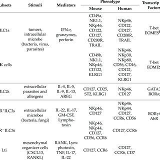 Characteristics of innate lymphoid cells in mouse and human. | Download Scientific Diagram