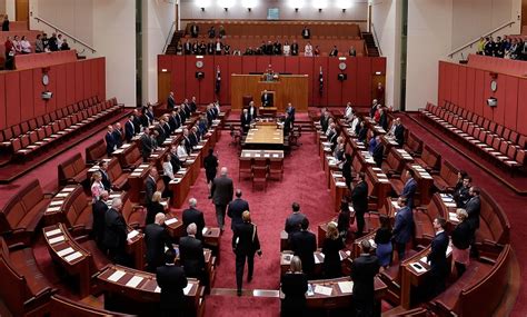 Senate makes four-year terms harder | Crispin Hull