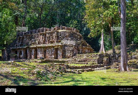 Maya Ruine Von Yaxchilan Mit Labyrinth Struktur Im Tropischen Regenwald