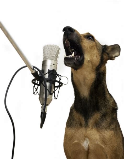 Gaskill blog: dogs singing