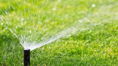 How Much To Blow Out Sprinkler System: A Comprehensive Guide To ...